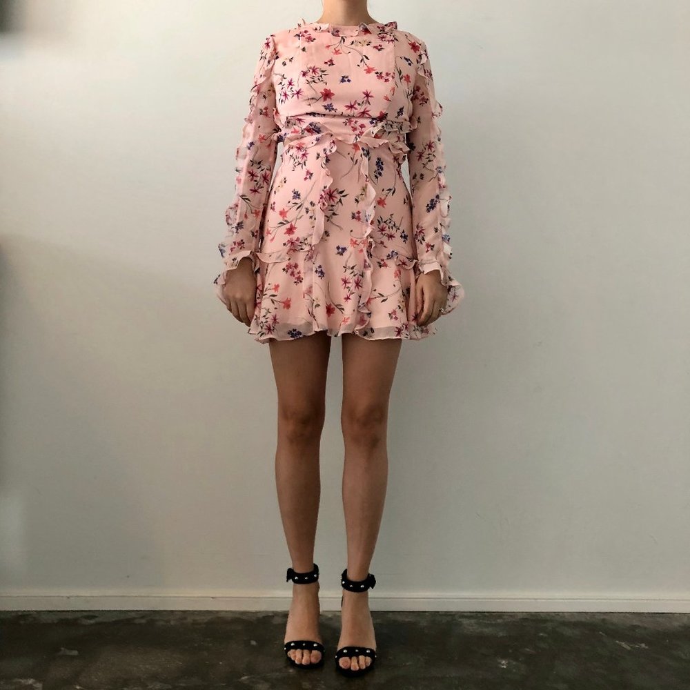 Fame And Partners The Kye Dress Pink Floral